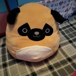 Squishmellows Plushies Stuffed Animals Bears 