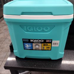 Igloo Cooler 