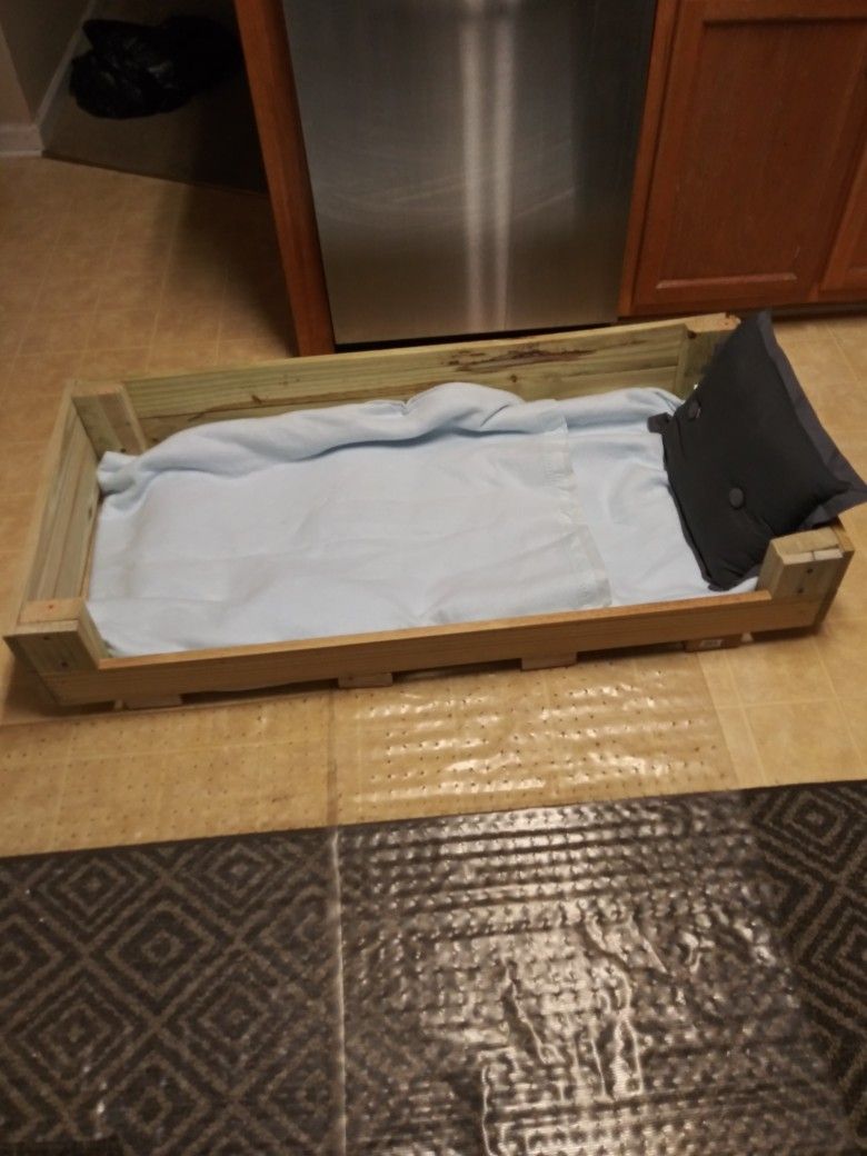 Dog Bed