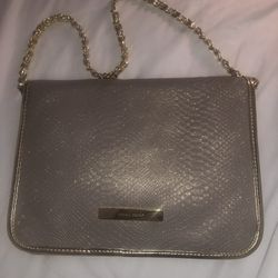 Ivanka Trump Metallic Clutch Bag With Chain Strap 
