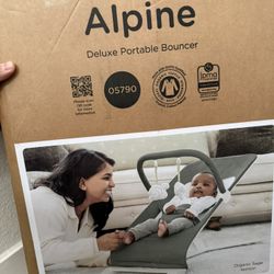 Baby Delight Bouncer