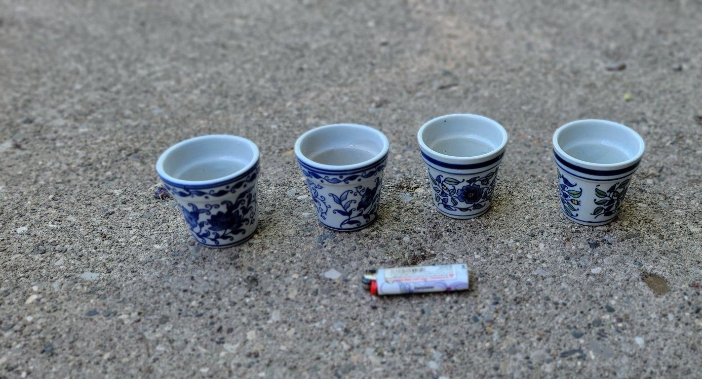 Perfect Pots For Succulents