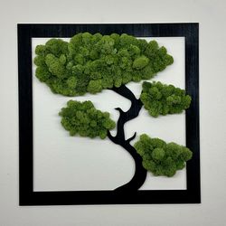 Elegant Bonsai Wall Piece (REAL MOSS) 