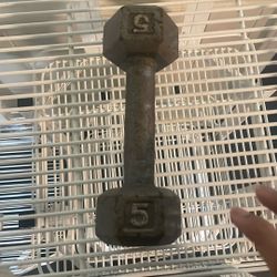 Exercise Dumbells - 5 Pounds