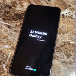 Samsung Galaxy S21fe 5G