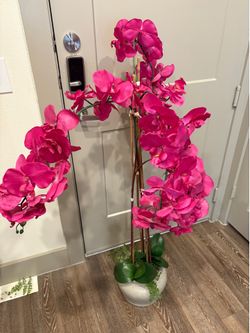 Pink flower tree