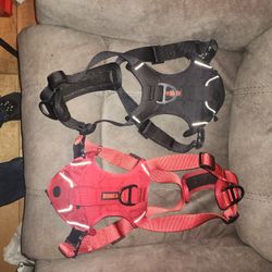 Dog Harnesses 