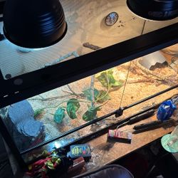 40 gallon thrive terrium