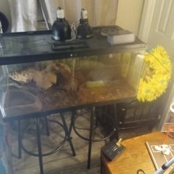 Thrive Aquarium Terrarium Setup For Reptile