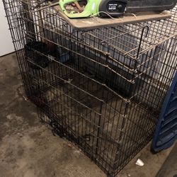 large dog crate 