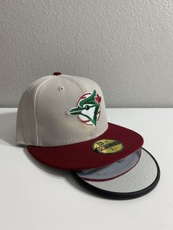 Fitted Hat