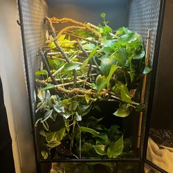 Mesh Chameleon Enclosure 