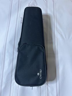 Cecilio Mini violin