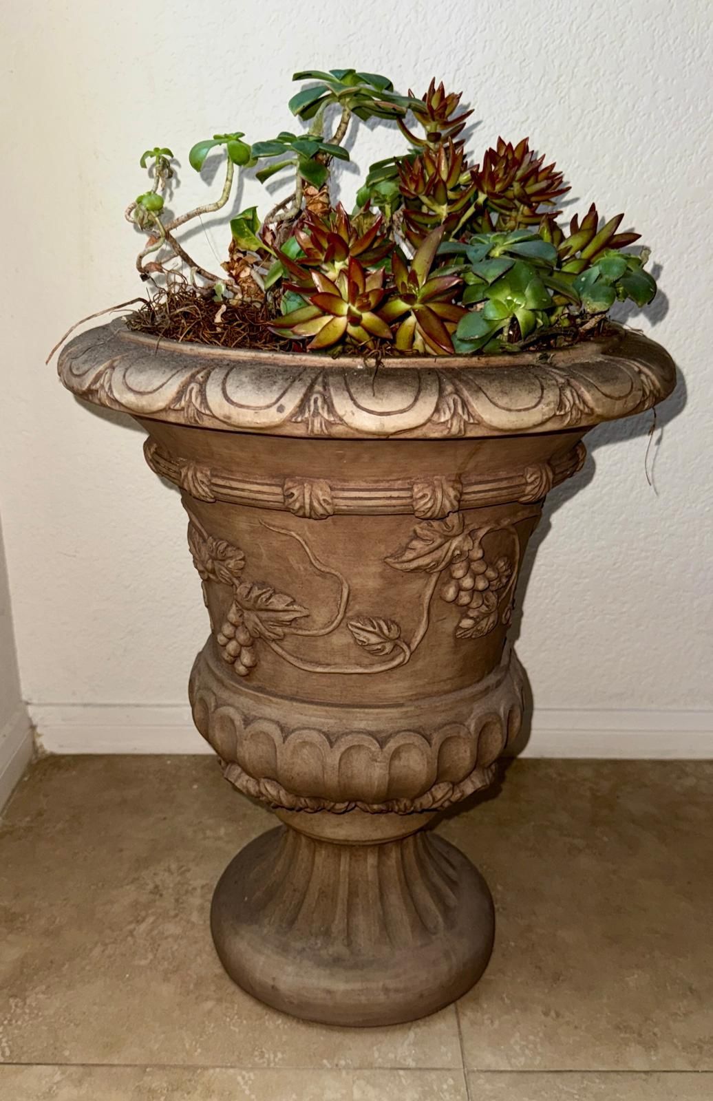 Plants Vase