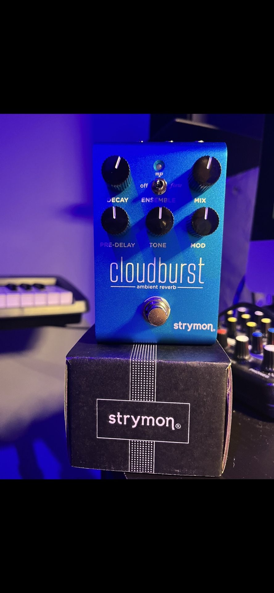 Strymon Cloudburst