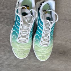 Nike Air Max Plus Size 10 