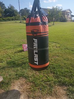 Prolast heavy bag 300Lbs