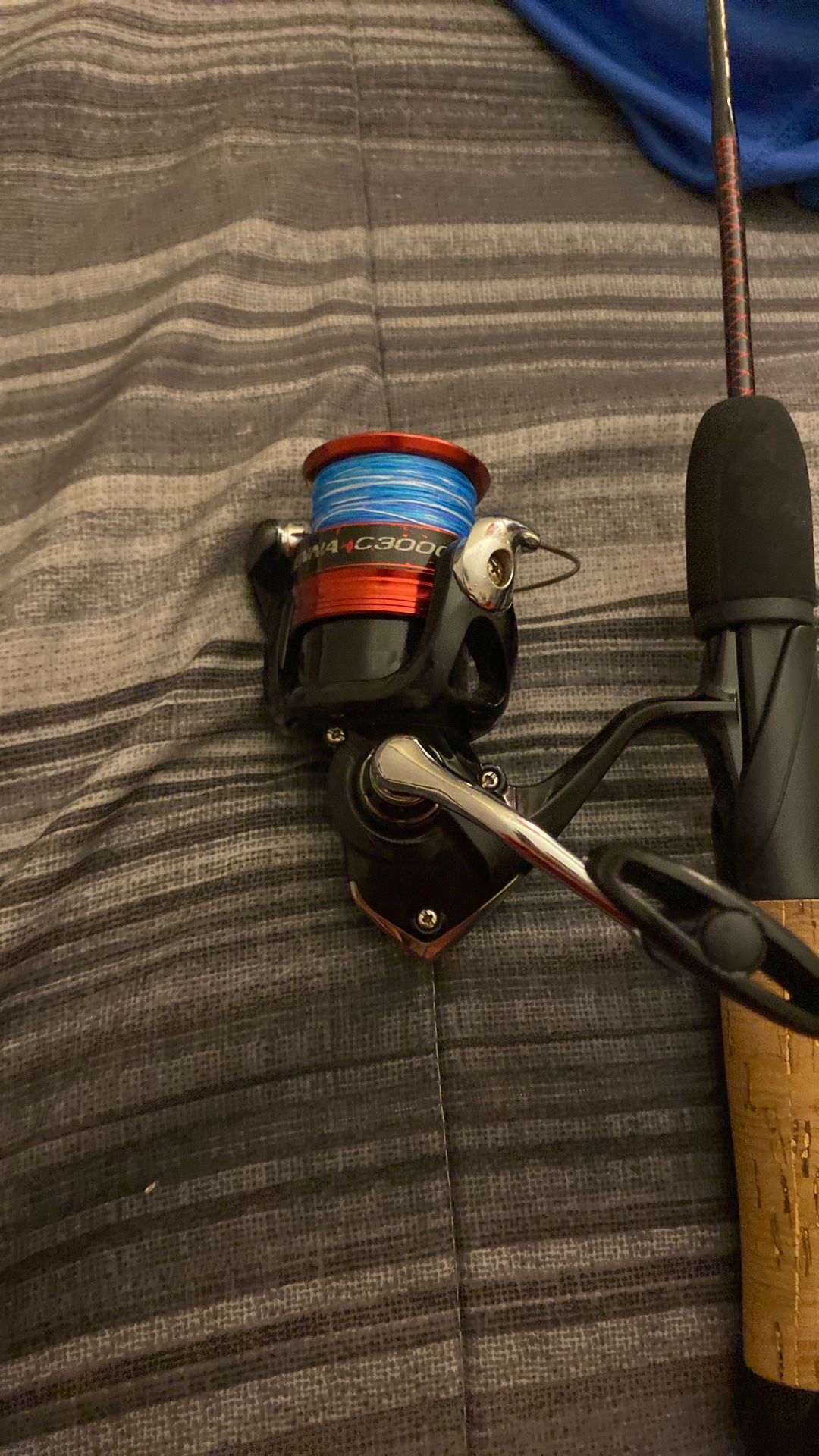 Shimano Sieanna