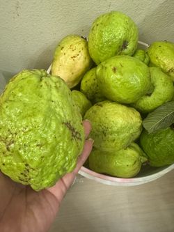 Fresh Guavas