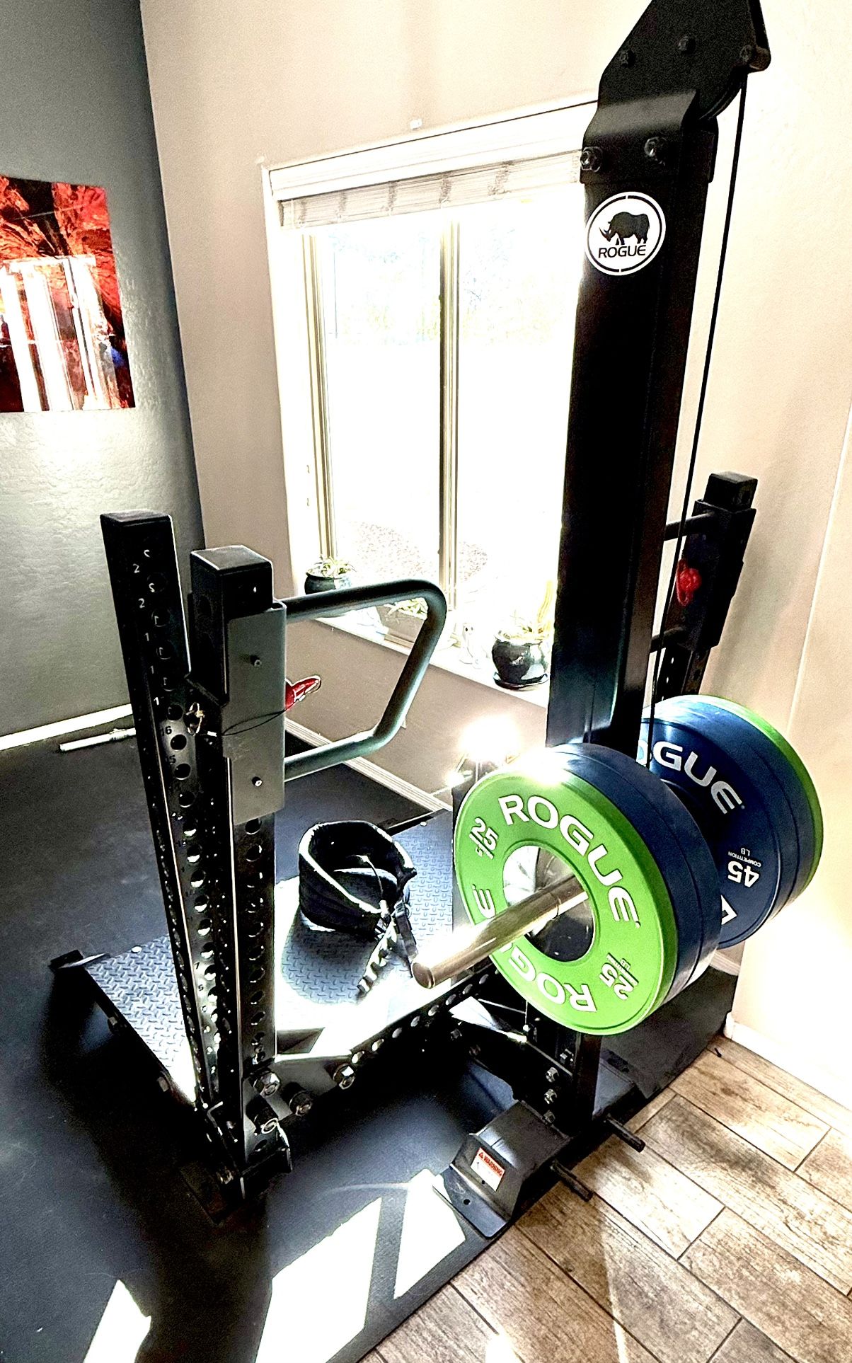 Rogue Rhino Belt Squat 