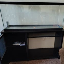 Fifty gallon fish tank and fifty Inch fish. Stand