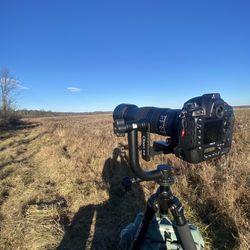 Nikon D4 + 200-500 Nikon Lens 