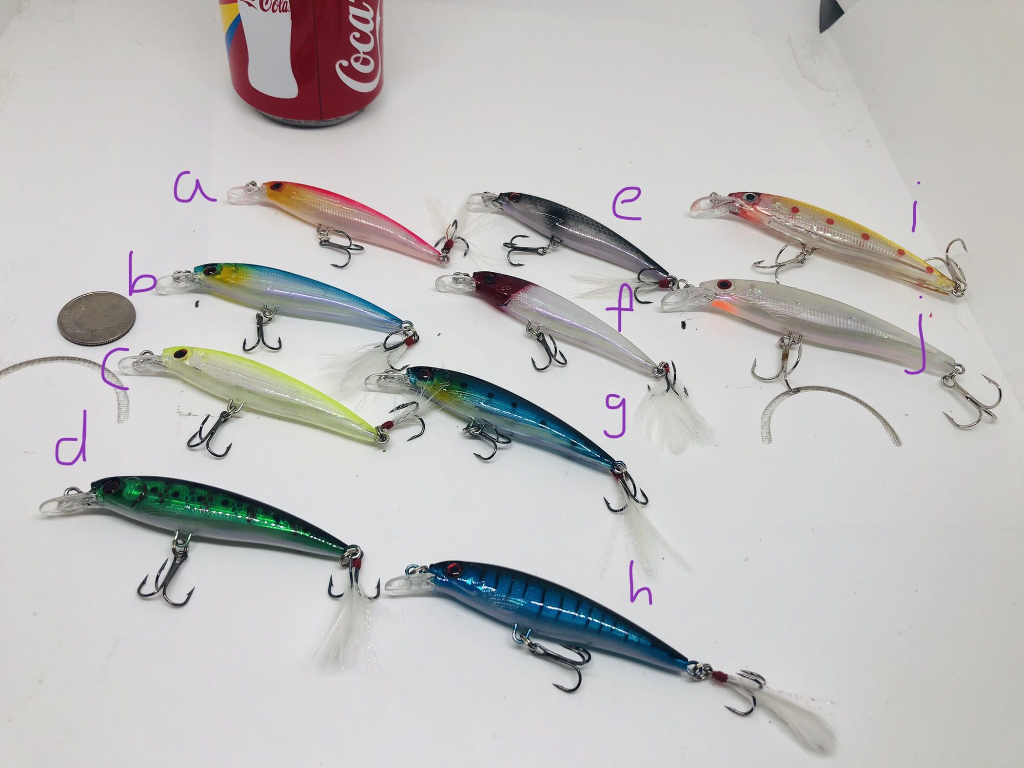 Shining Fish Lures