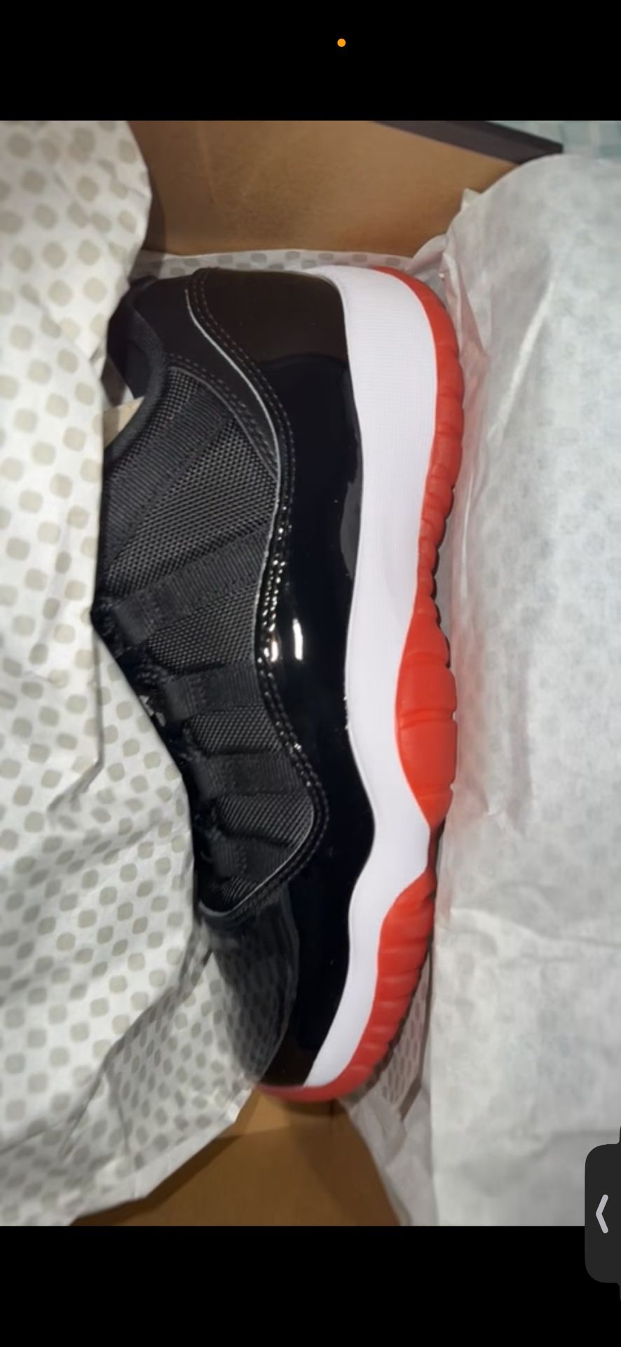 Jordan bred 11 low tops