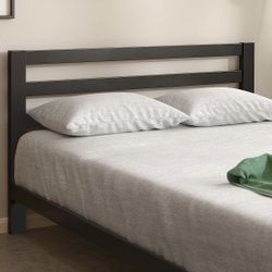 Kettlebell 55 lb new in box