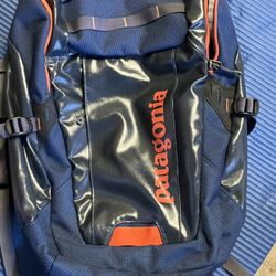 Patagonia Backpack 