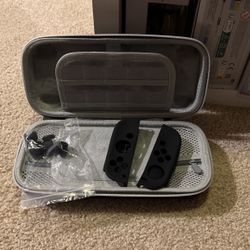 Nintendo Case