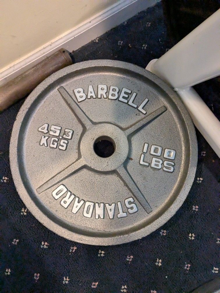 100 Lb Plates Weights
