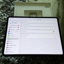 iPad Pro 13 Inch  M4 256 Gb WiFi Cellular 