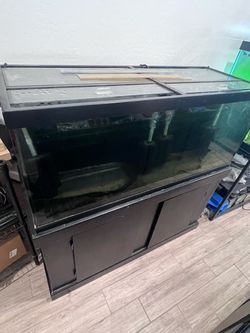 75 gallon aquarium + tank stand + lids