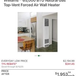 Williams™ 65,000 BTU Natural Gas Top-Vent Forced Air Wall Heater