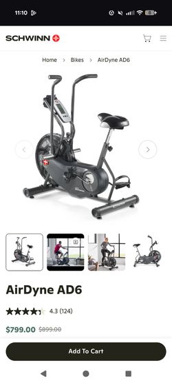 Schwinn Airdyne AD6
