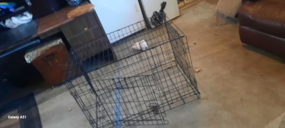 2 Kennels 1 Thirty Six In. And 1 Seventeen In.