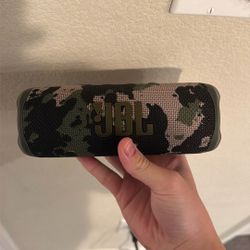 JBL Flip 6 - Camo
