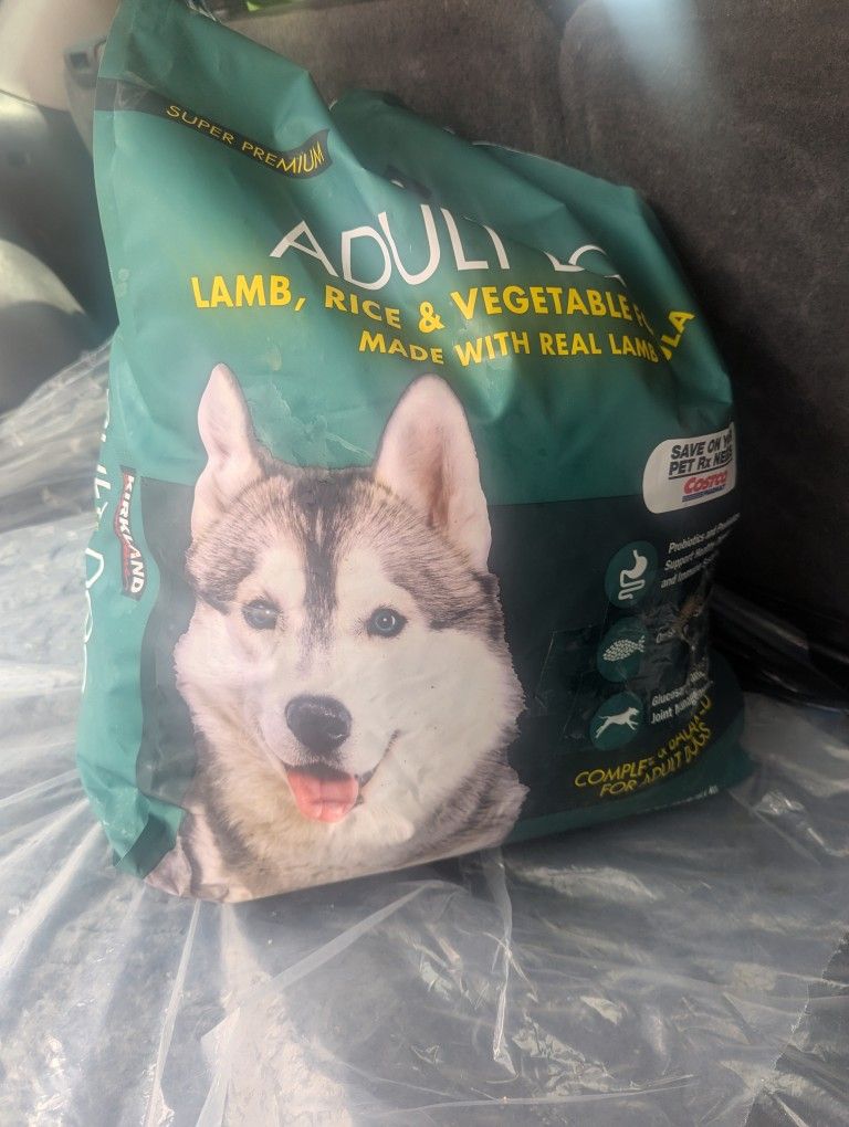 Dogs