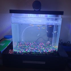 20 Gallon Aquarium With Accessory 