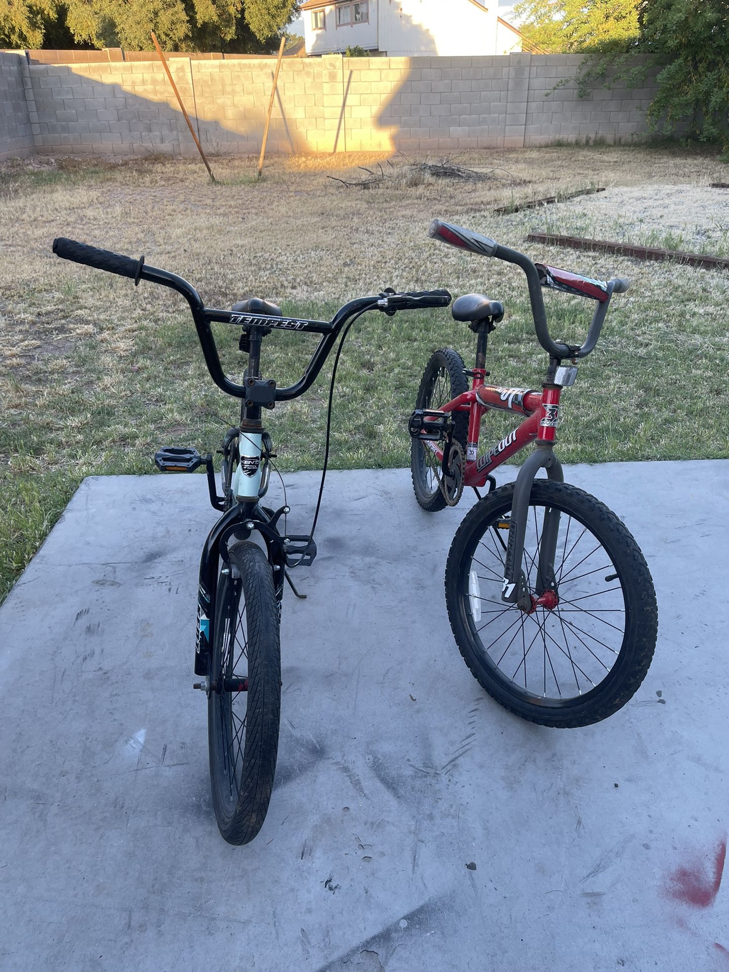 Boys And girls Bike(20’)