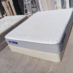 Queen Purple Mattress And Box Spring