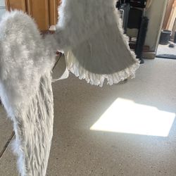 Feather Wings For Sale
