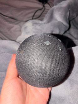 Alexa echo dot