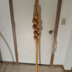 Walking Stick 