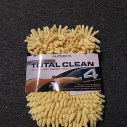 Car Wash Glove