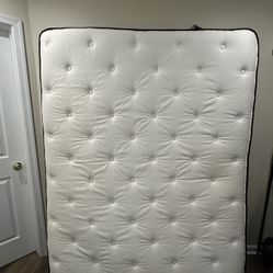 Free) Queen size mattress