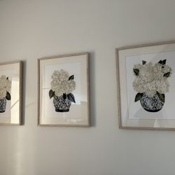 Trio of Framed Hydrangea Botanical Prints