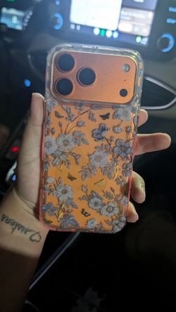 iPhone 17 pro max