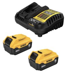 20 -Volt 2 -Pack Lithium-ion (5 Ah/5 Ah Battery and Charger)